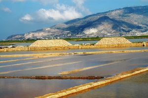 Riserva naturale orientata delle Saline di Trapani e Paceco