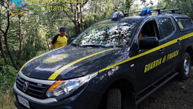 dispersi nel bosco dell'etna per cercare funghi