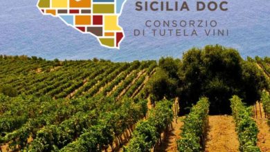 vini doc sicilia